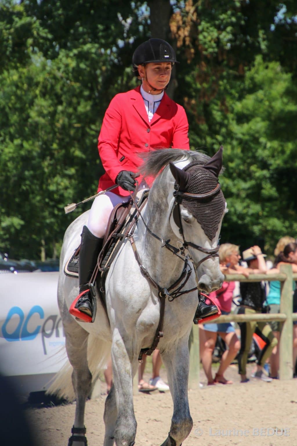 Écurie de chevaux de concours