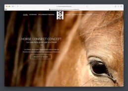 Horse Connect Concept